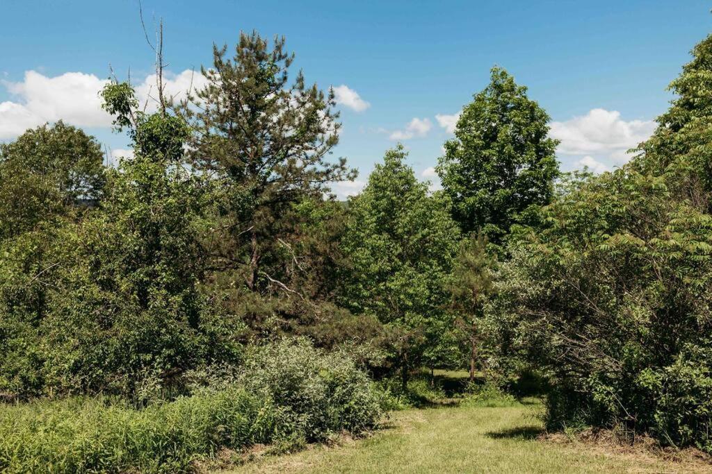 הוילה פן יאן Rustic Ridge מראה חיצוני תמונה